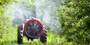 Réduction des pesticides : la PAC n'est pas assez contraignante, estime la Cour des comptes européenne
