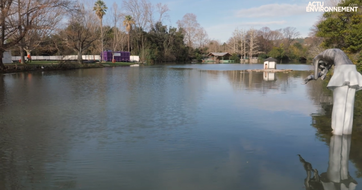 [VIDEO] Curer un lac sans le vider pour réduire les impacts environnementaux