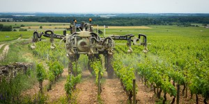 Pesticides : le Conseil d'État rejette les recours de la Coordination Rurale sur les distances d'épandage