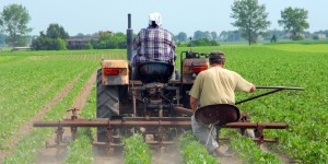 Le taux de la taxe sur la vente de pesticides augmente à 0,9 % du chiffre d'affaires