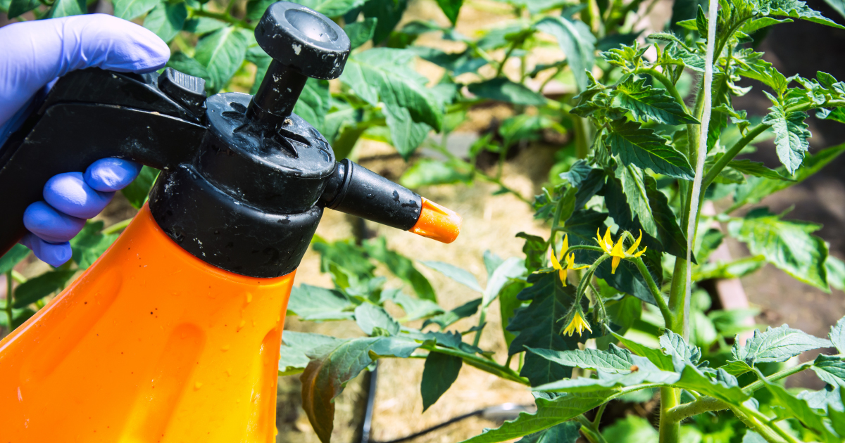 L'encadrement des pesticides destinés aux jardiniers amateurs est précisé