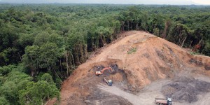 Déforestation importée : une stratégie européenne à redéfinir