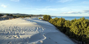 Un quart des écosystèmes du linéaire côtier méditerranéen est menacé en France