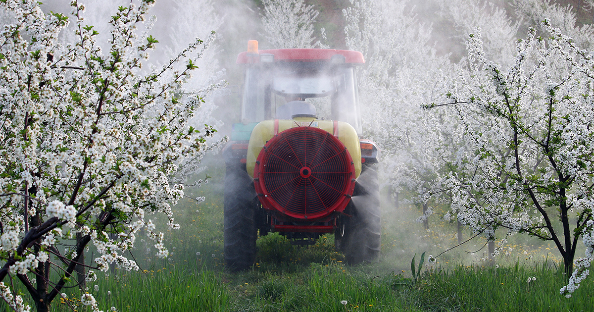 Une consultation sur l'élargissement des interdictions d'usage des pesticides 
