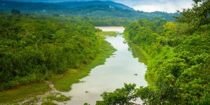 Brésil : Total se retire des projets de forages près du récif de l'Amazone 