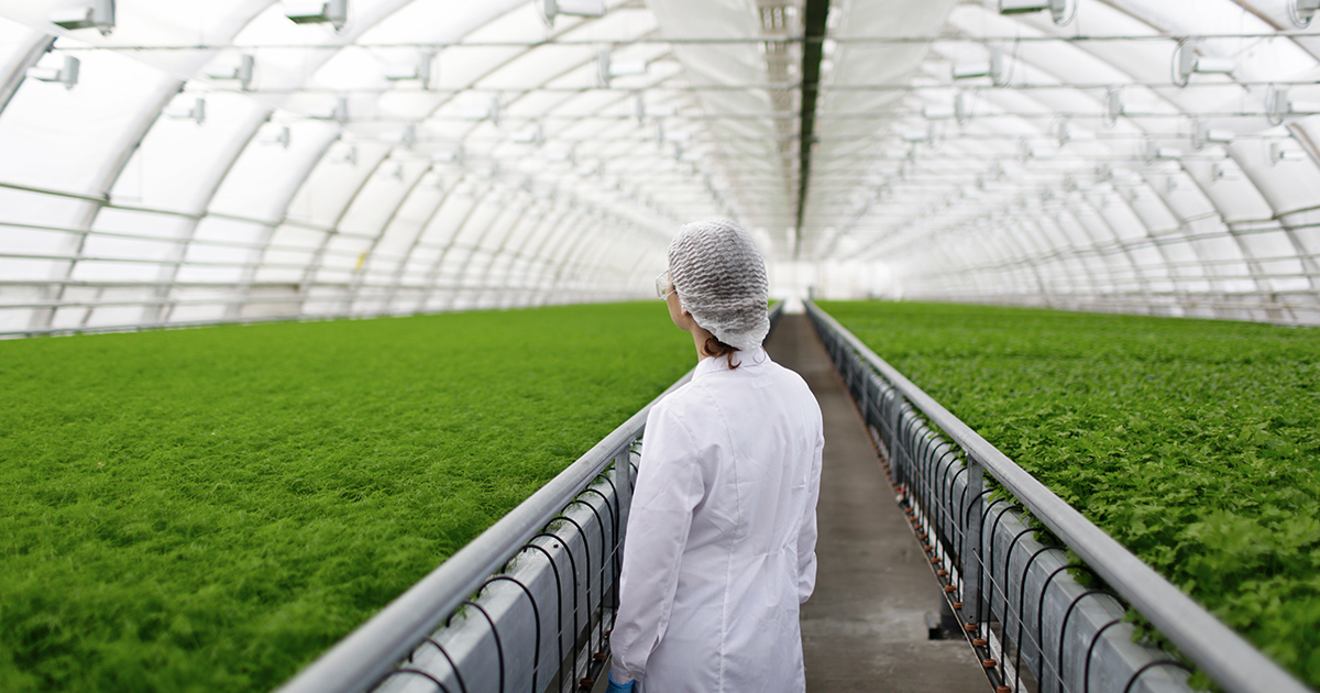 « Cultiver autrement » : dix projets scientifiques pour réduire la dépendance aux produits phytosanitaires