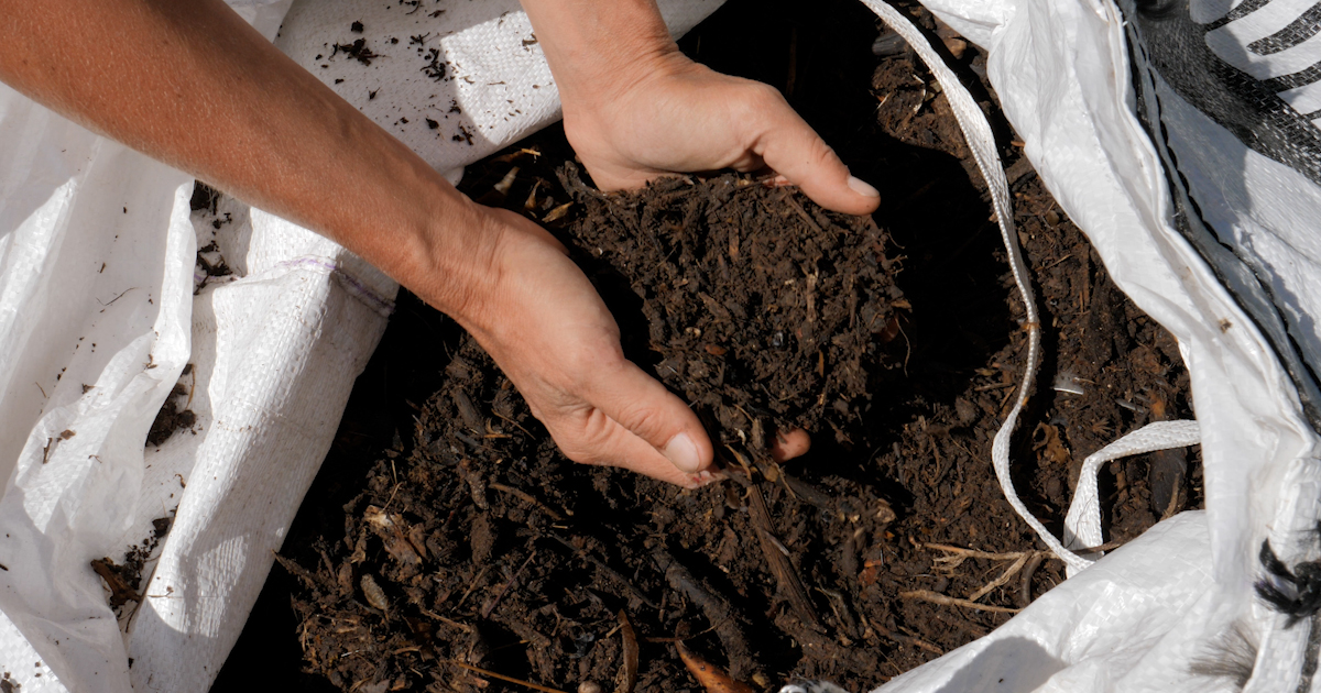 [VIDEO] Du compost facile à produire pour les gros producteurs de biodéchets