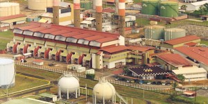 Guyane : la future centrale électrique de Larivot fonctionnera à la biomasse liquide