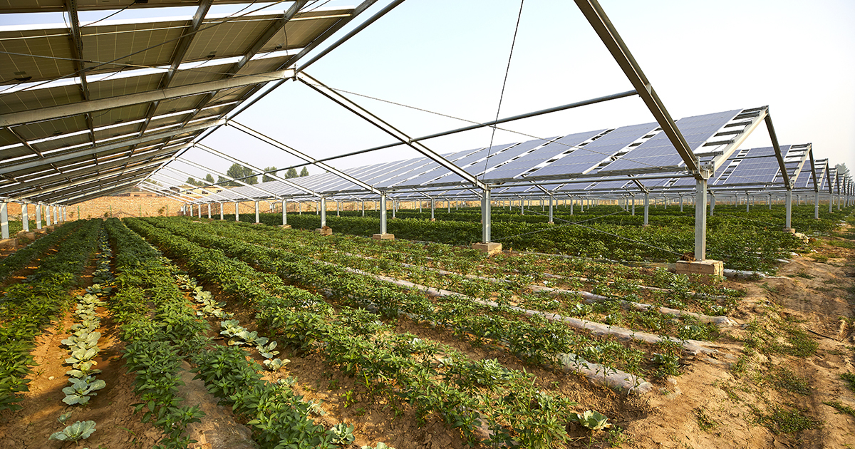 Agrivoltaïsme : Sun'Agri et Rgreen Invest lance une initiative pour équiper 300 exploitations agricoles