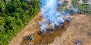 Biocarburants : l'huile de soja se substitue à l'huile de palme, une aberration pour les ONG