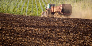 Gestion des boues d'épuration : la Commission consulte sur la perception des européens