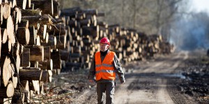 Investissements forestiers : le dispositif d'encouragement fiscal prorogé