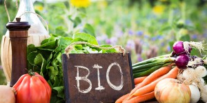 Metabio : et si l'agriculture biologique devenait le mode de production majoritaire
