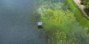 Risques microbiologiques : l'agence de l'eau Rhin Meuse lance un appel à manifestation d'intérêt