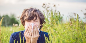 Allergies : l'impact sanitaire du pollen d'ambroisie coûte très cher