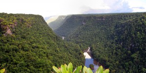 Mine d'or en Guyane : condamnation pénale et reconnaissance du préjudice écologique 