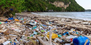 L'Ademe lance un appel à manifestation d'intérêt pour promouvoir le zéro plastique en Martinique