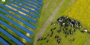 Photovoltaïque sur terrains agricoles : EDF signe une charte avec les instances agricoles