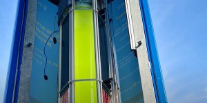 Suez et Fermentalg créent une co-entreprise dédiée à la capture du CO2 par les micro-algues