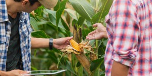 Réduction des phytosanitaires : le réseau Dephy recrute 2000 nouvelles fermes