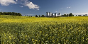 Bioénergies : de nouveaux critères de durabilité et d'émissions à partir du 1er juillet