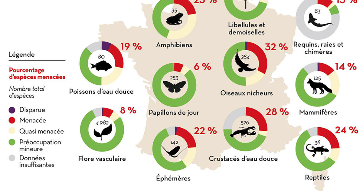 [INFOGRAPHIE] Liste rouge de l'UICN : plus de 2 000 espèces sont menacées en France