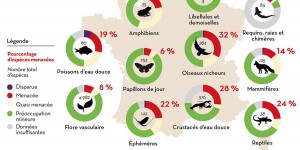 [INFOGRAPHIE] Liste rouge de l'UICN : plus de 2 000 espèces sont menacées en France