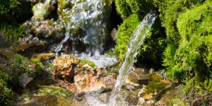 La juste valeur de l'eau : une définition à réalités multiples