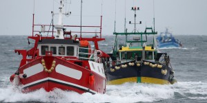 Aires marines protégées : l'interdiction des pêches destructrices rapidement rentable