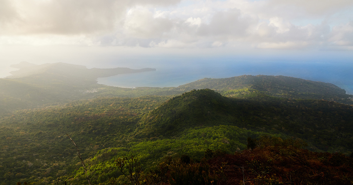 La réserve naturelle nationale des forêts de Mayotte est créée