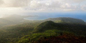 La réserve naturelle nationale des forêts de Mayotte est créée
