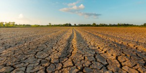 Tension sur l'eau : le ministère de l'Agriculture souhaite une gestion décentralisée lors de sécheresse