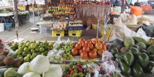 Chlordécone aux Antilles : l'Anses va évaluer les expositions par voie alimentaire 