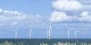 Éolien flottant : trois entreprises créent Océole en vue des prochains appels d'offres français