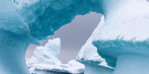 Le G20 soutient la création d'aires marines protégées en Antarctique