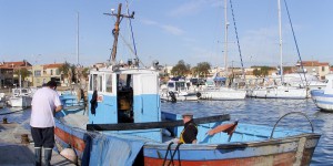 Méditerranée : des aides aux pêcheurs pour une gestion durable des stocks