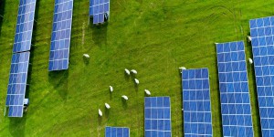 Loi climat : de nouvelles dispositions de soutien aux énergies renouvelables