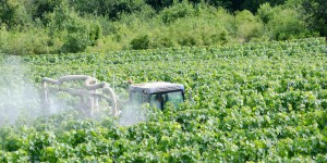 Pesticides dans l'air : les résultats de la campagne exploratoire offrent de premières données nationales