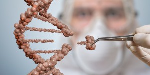 Nouveaux OGM : la Commission européenne consulte sur un nouveau cadre juridique