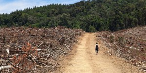 Oxfam appelle les pays riches à augmenter leurs financements climat avant la COP 26 