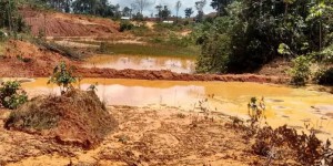 Orpaillage légal en Guyane : la condamnation de la société Gold'or pour pollution des eaux est confirmée