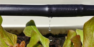 Reut pour l'irrigation : La Commission européenne précise le cadre de la gestion des risques