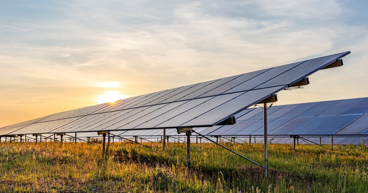 Dérogation Espèces protégées : un projet de parc photovoltaïque bute sur l'existence de solutions alternatives