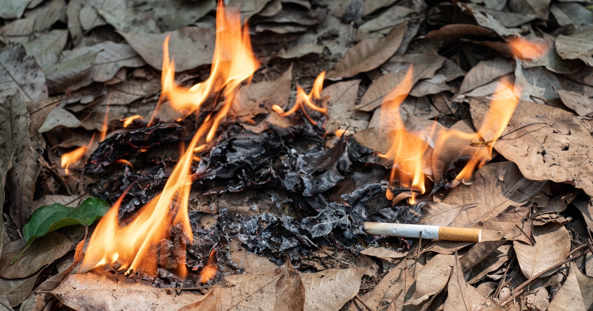 Prévention des incendies de forêt : la REP Tabac est mise à contribution