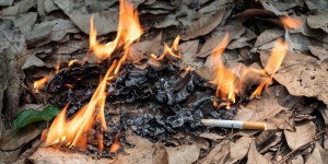 Prévention des incendies de forêt : la REP Tabac est mise à contribution