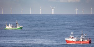 Taxe éolien en mer : l'association Bloom dénonce une mainmise de la pêche industrielle