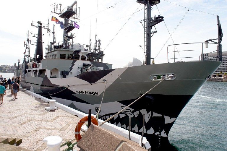Sea Shepherd reprend la mer contre la pêche baleinière japonaise