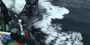 Un baleinier japonais percute un navire de Sea Shepherd