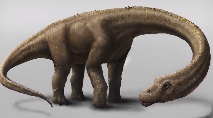 Un méga dinosaure découvert en Patagonie