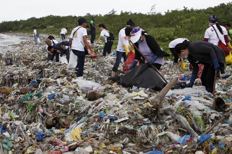 Les îles de déchets plastiques tuent 1,5 million d'animaux par an